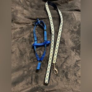 Blue harness and leash